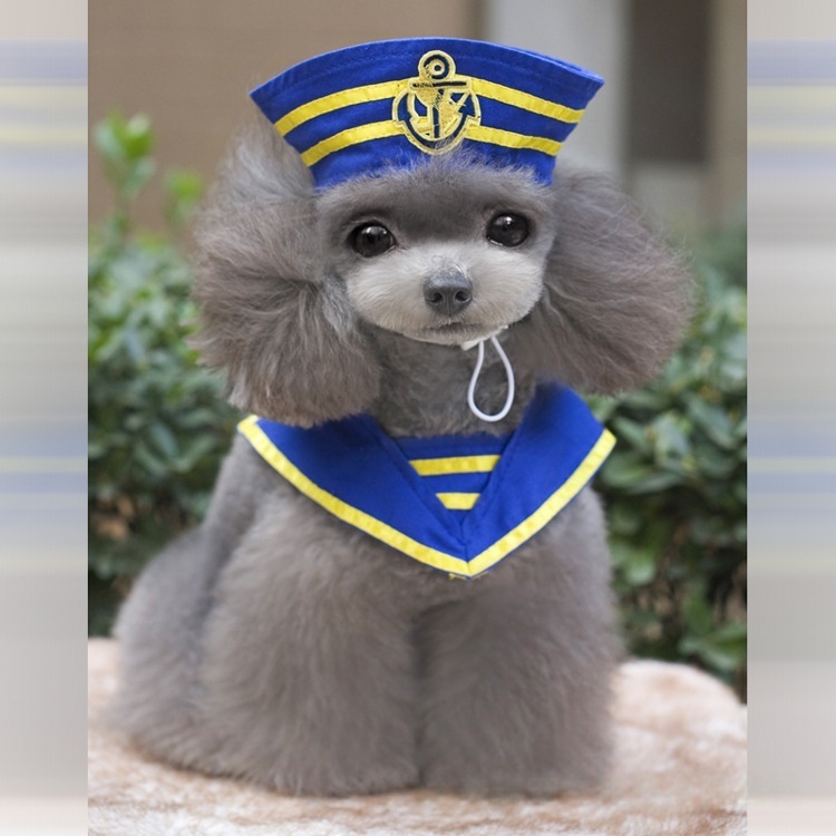 Navy Sailor Dog Costume Pet Halloween Outfit with Hat and Anchor Design